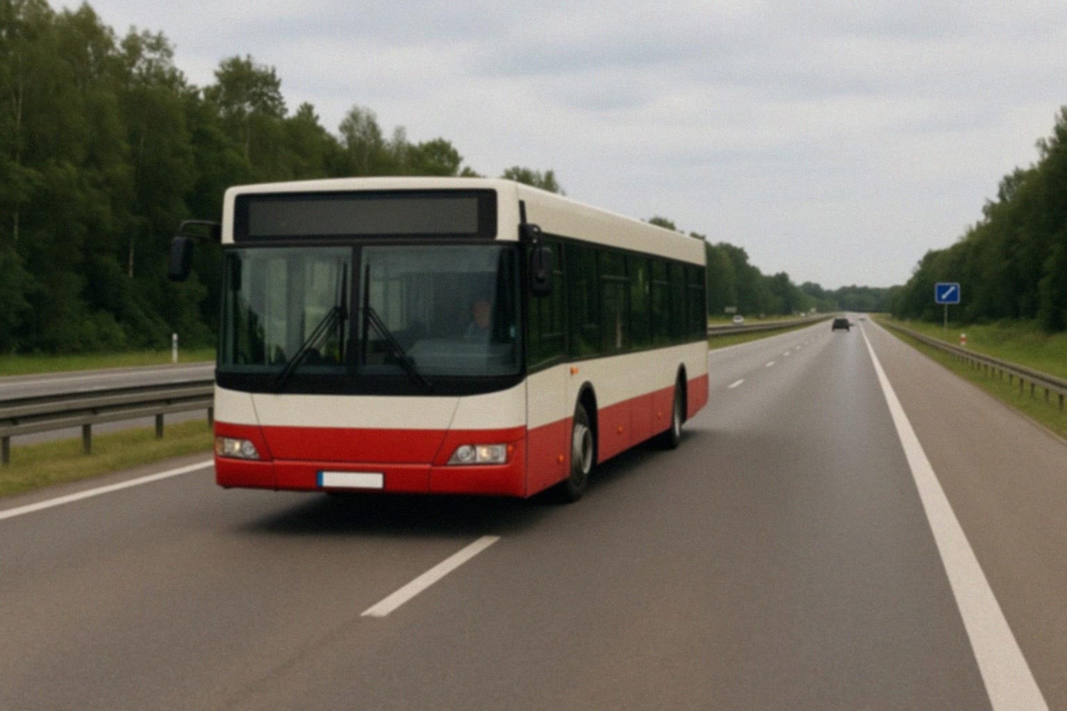 Ogłoszenie o przetargu na zimowe utrzymanie terenu w Kaliszu