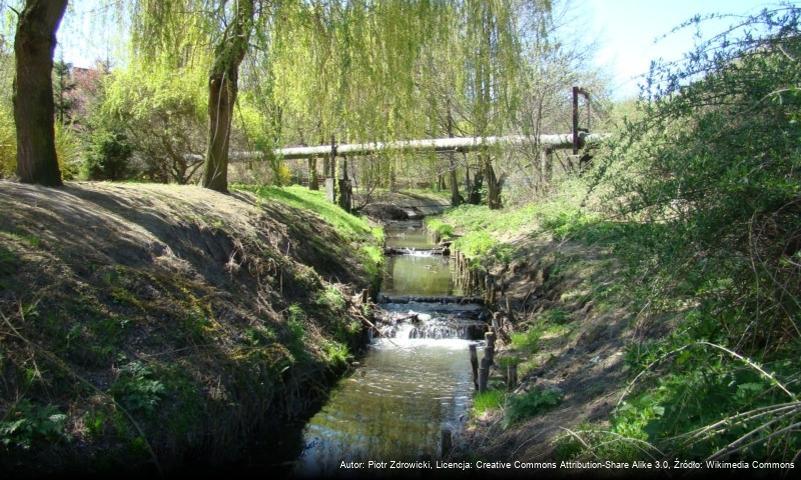 Krępica (struga)