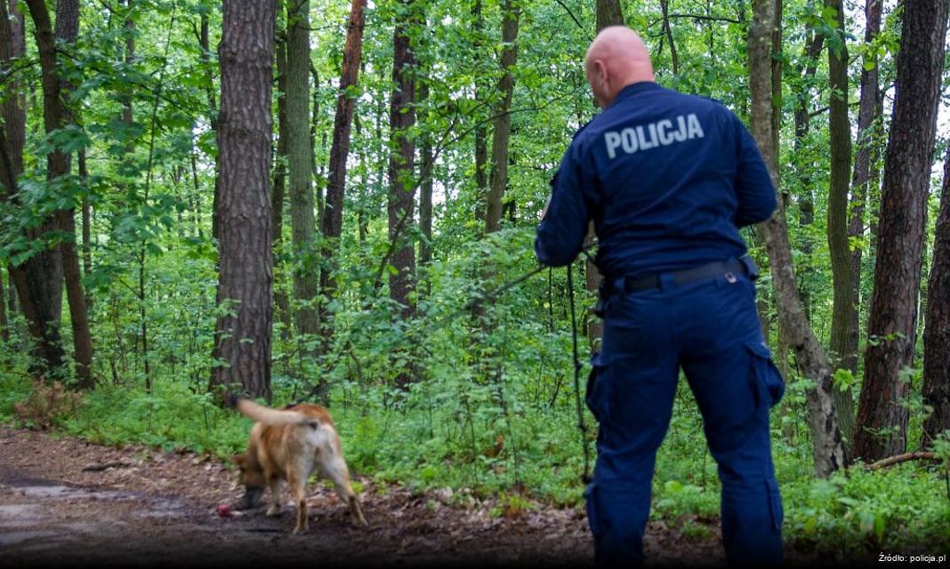 Surowe konsekwencje dla kierowcy bez prawa jazdy w Kaliszu