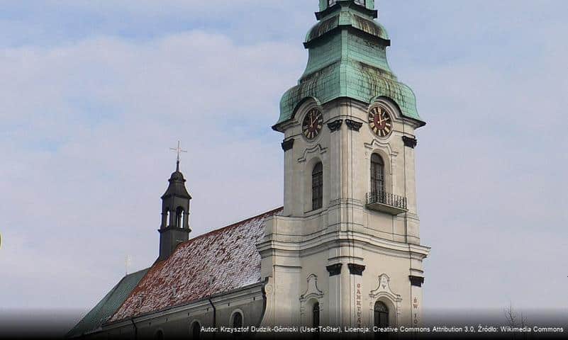 Parafia Wniebowzięcia Najświętszej Maryi Panny w Kaliszu