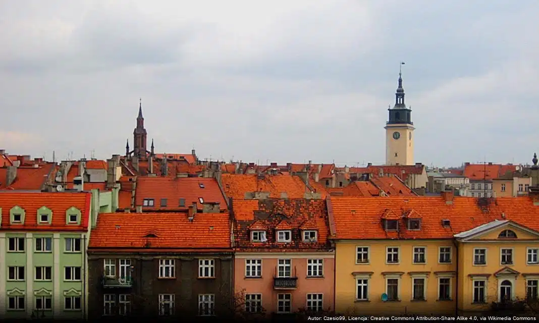 Nowa wystawa fotografii „Dotyk światła” w Kaliszu