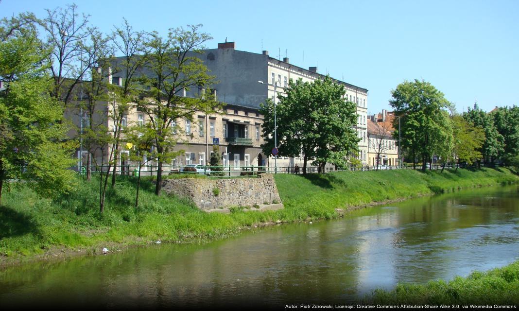 Kaliska Rada Kobiet angażuje się w międzynarodowy projekt Urban X-Change Network II