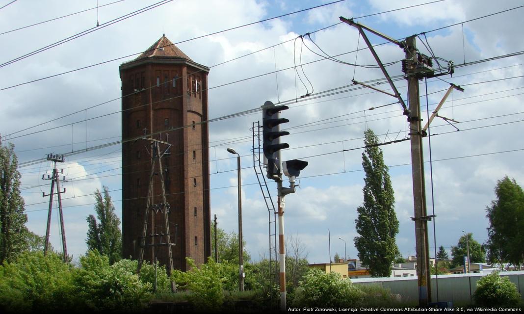 Nowe edycje bezpłatnych zajęć dla seniorów w Kaliszu