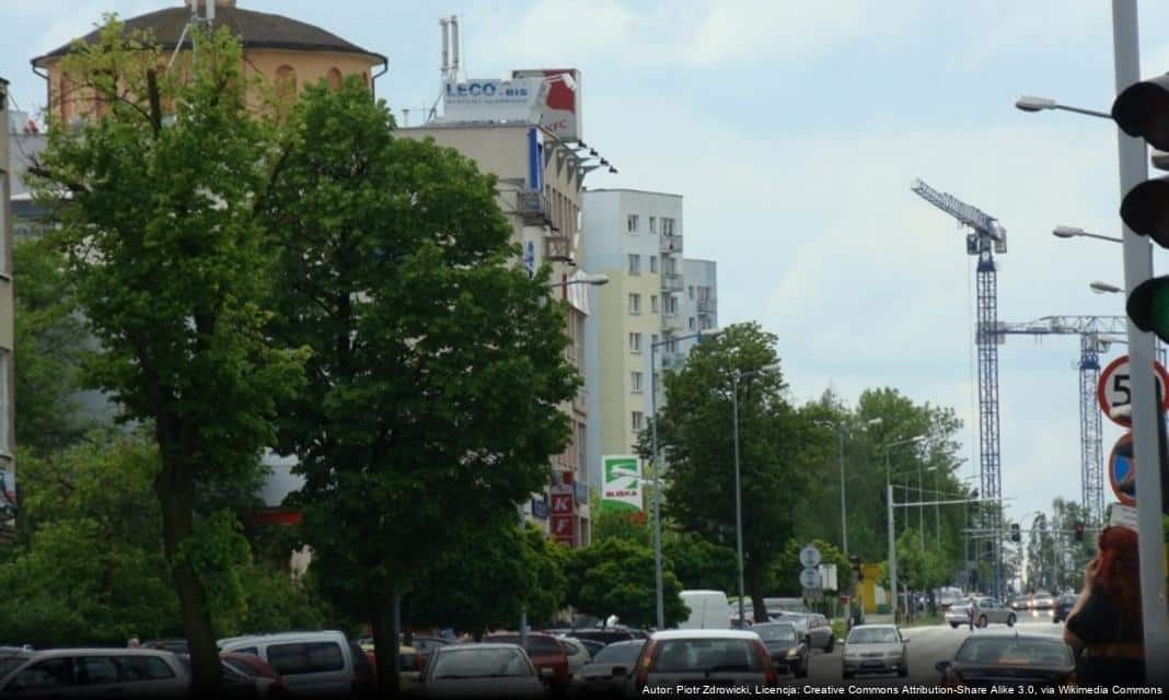 Podsumowanie pierwszego roku projektu „Biblioteka – jeszcze bliżej” w Kaliszu